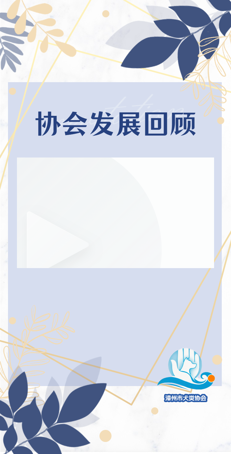 协会发展回顾