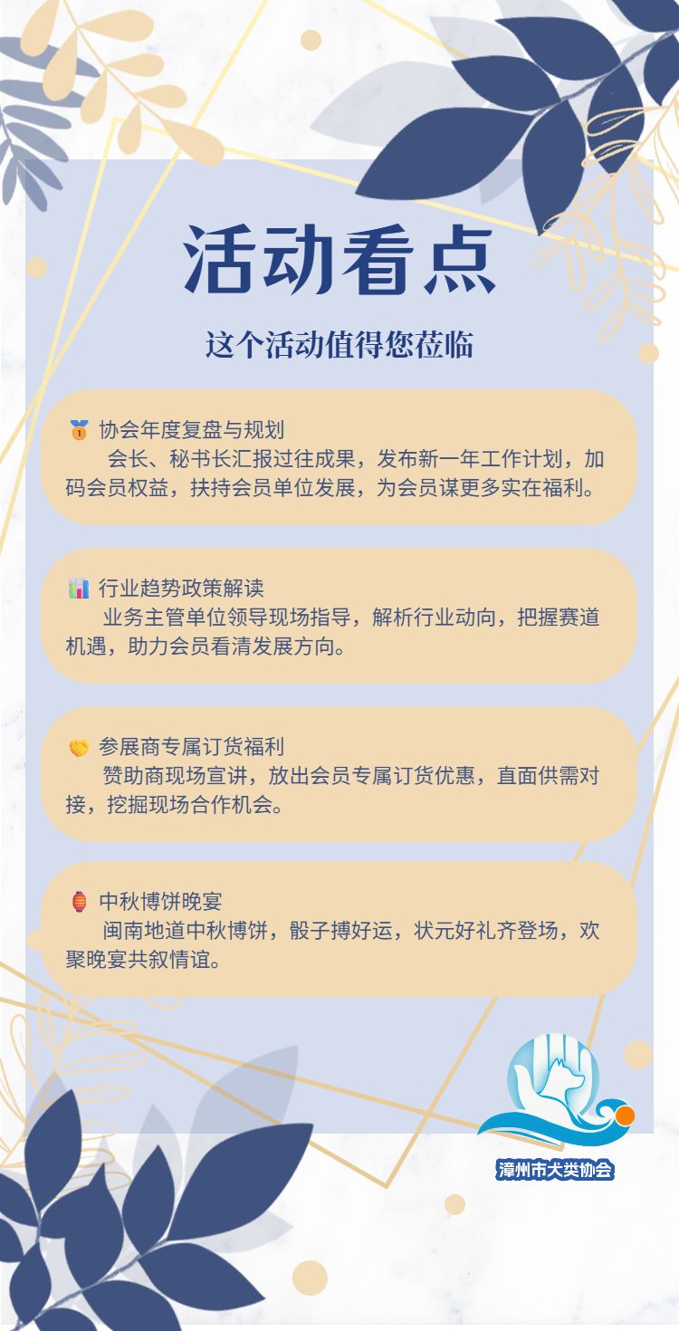 活动看点